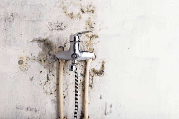 Best Mold Testing  in Rawls Springs, MS