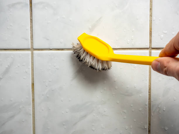 Best Local Mold Removal Service  in Rawls Springs, MS