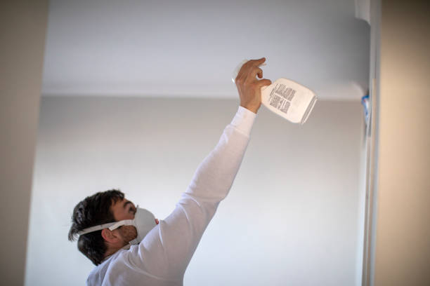 Home Mold Removal in Rawls Springs, MS