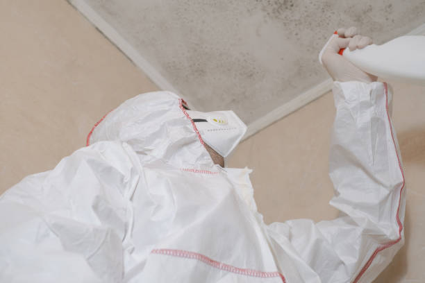 Best Affordable Mold Removal  in Rawls Springs, MS