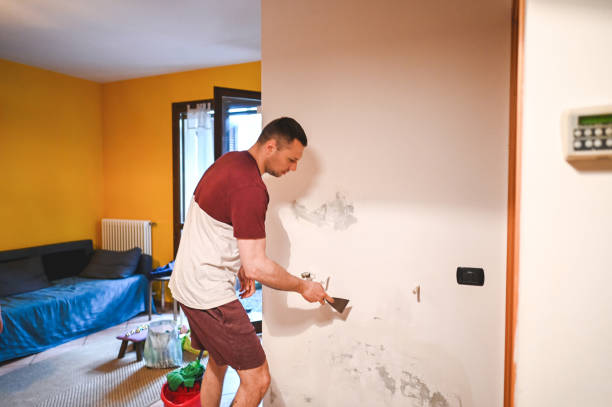Best Mold Damage Repair  in Rawls Springs, MS