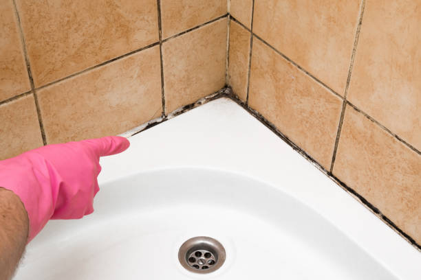 Best Local Mold Removal Service  in Rawls Springs, MS